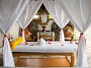 dolphin house resort spa diving