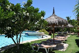 dolphin house resort spa diving