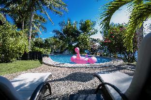 dolphin house resort spa diving