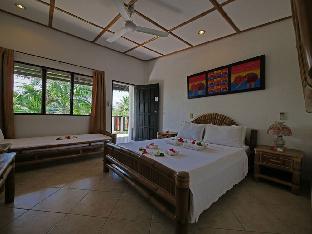 dolphin house resort spa diving