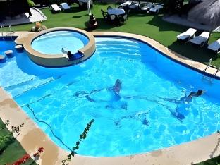 dolphin house resort spa diving