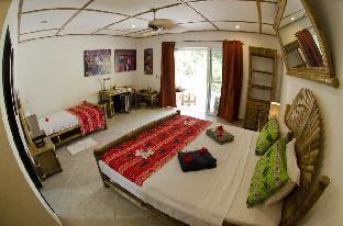 dolphin house resort spa diving