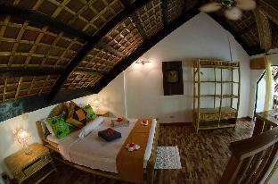 dolphin house resort spa diving