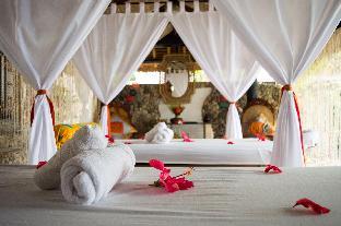 dolphin house resort spa diving