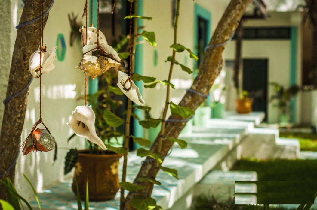 villas tiburon adults only