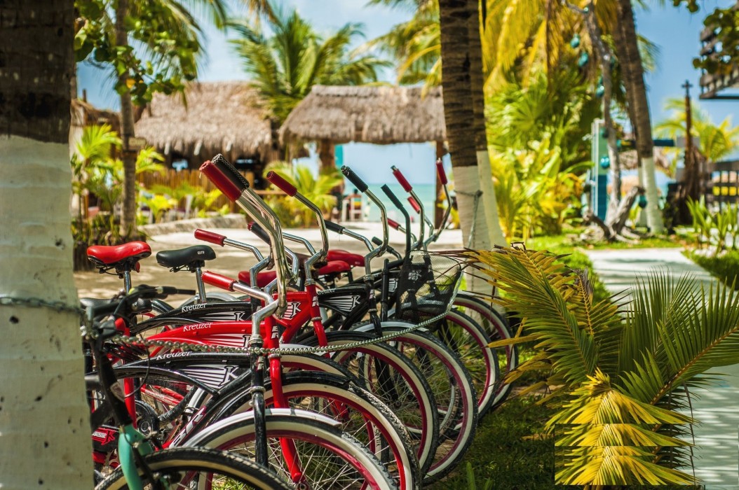 villas tiburon adults only