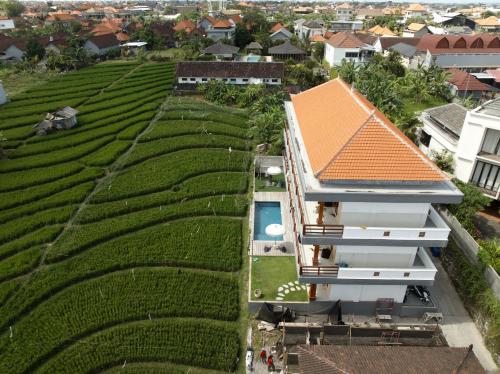 bali