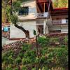 the spotted dove homestay