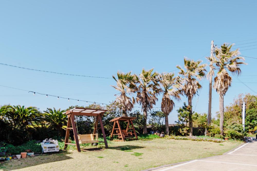 jeju sehwa moon rabbit