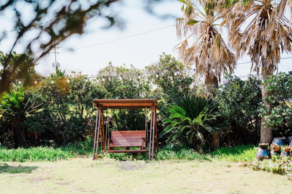 jeju sehwa moon rabbit