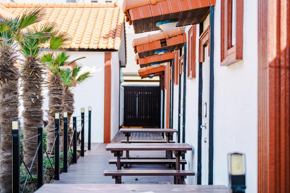 jeju sehwa moon rabbit