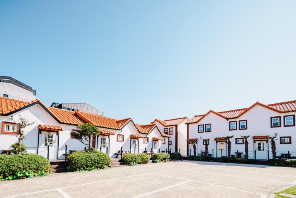 jeju sehwa moon rabbit