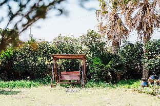 jeju sehwa moon rabbit