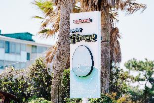 jeju sehwa moon rabbit