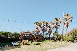 jeju sehwa moon rabbit