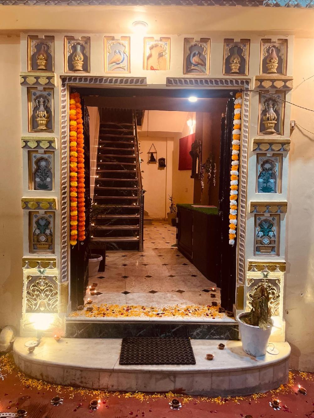 mild life hostel udaipur