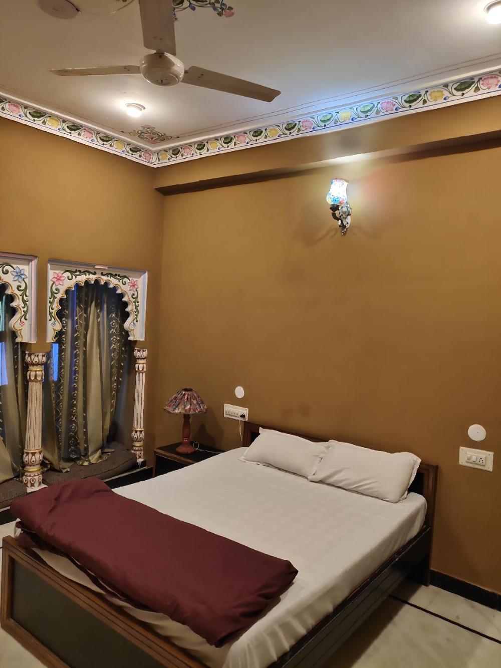 mild life hostel udaipur