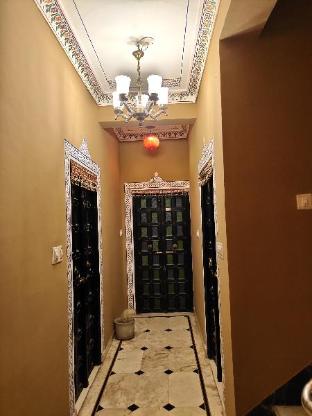 mild life hostel udaipur