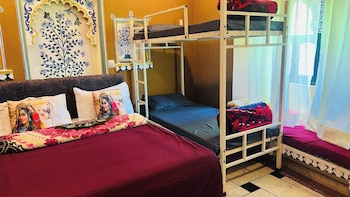 mild life hostel udaipur