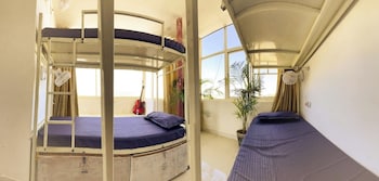 mild life hostel udaipur