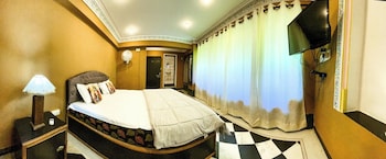 mild life hostel udaipur