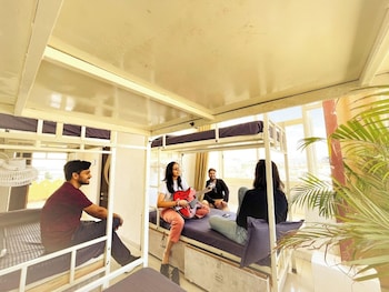 mild life hostel udaipur