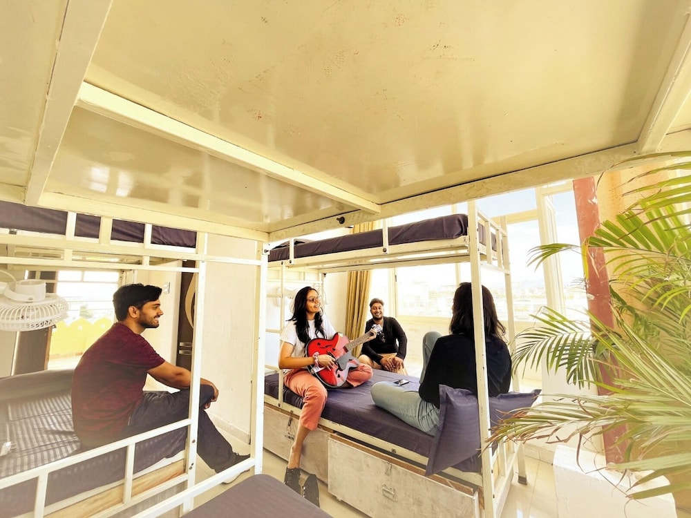 mild life hostel udaipur