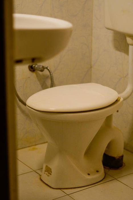 mild life hostel udaipur