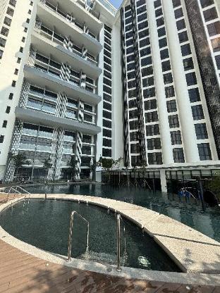 the shore by pinstay