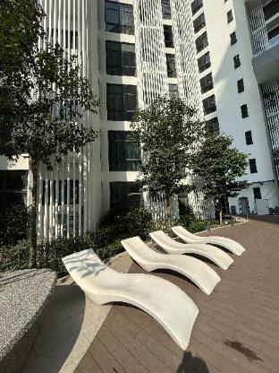 the shore by pinstay