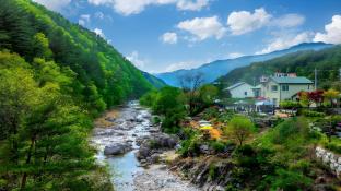 gangneung happy valley pension