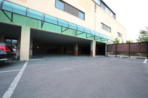 daegu ws hotel