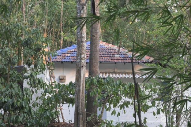 coorg