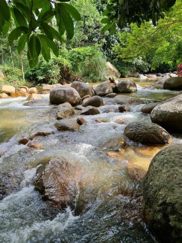 dimpiana riverview chalet lenggong