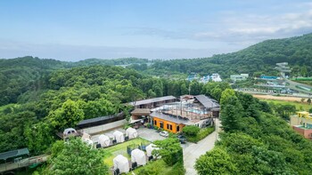 ganghwado j crown mongoliagerpension