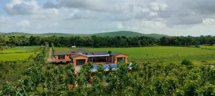 whispering woods chalet