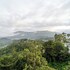 treebo windsong resort munnar