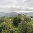 treebo windsong resort munnar
