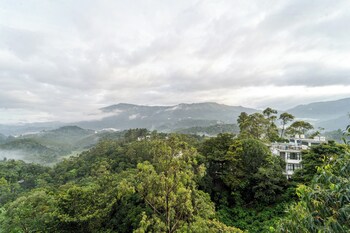 treebo windsong resort munnar