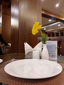 cilantro unwind delisso abode