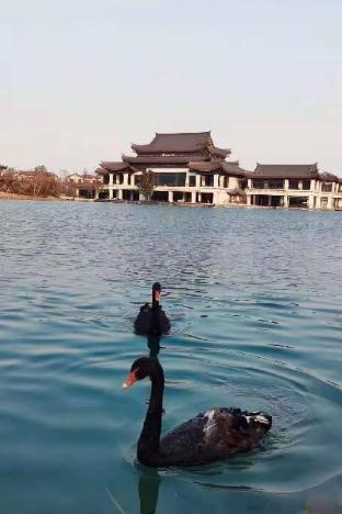 song hotel chengdu qingcheng