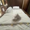 klingking hostel