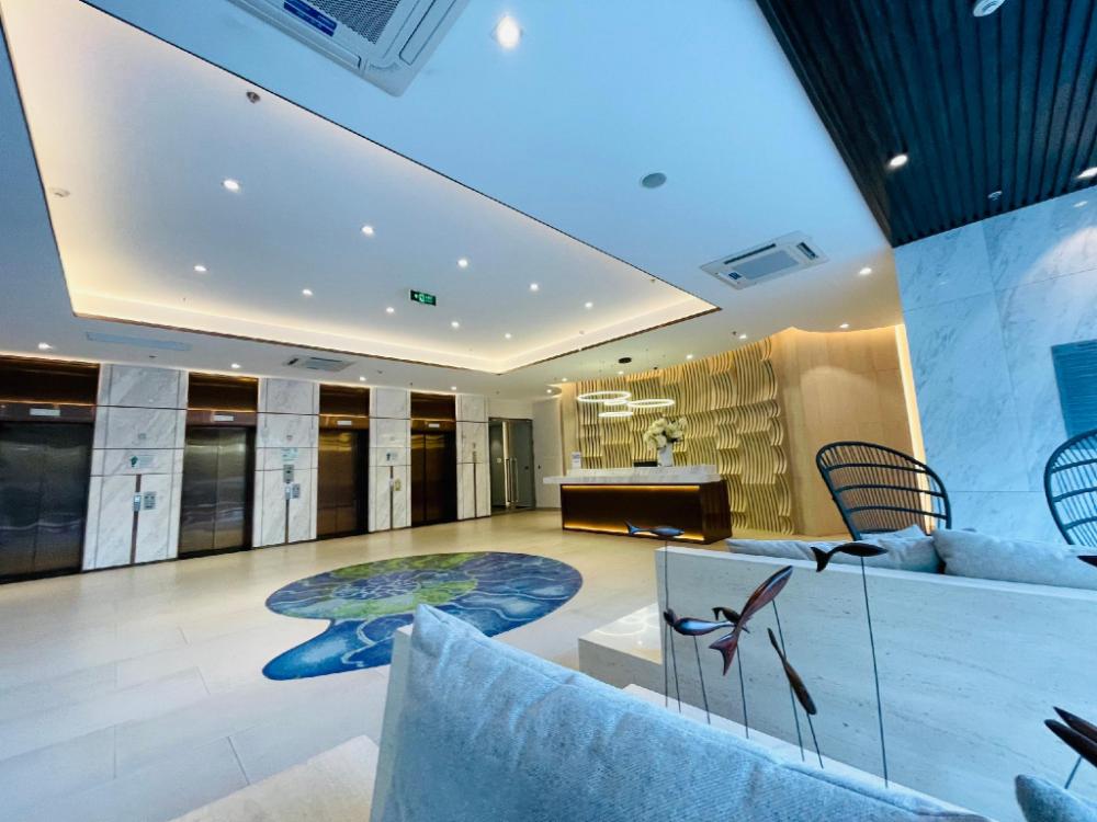 the song apartment vung tau harrys homestay