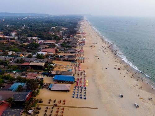 goa