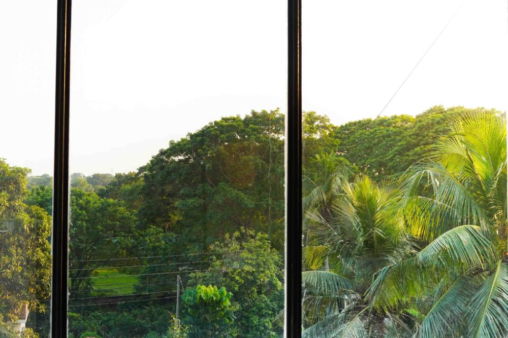 soultosoul guesthouse mayapur