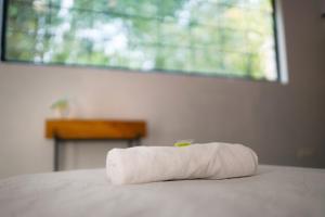 soultosoul guesthouse mayapur