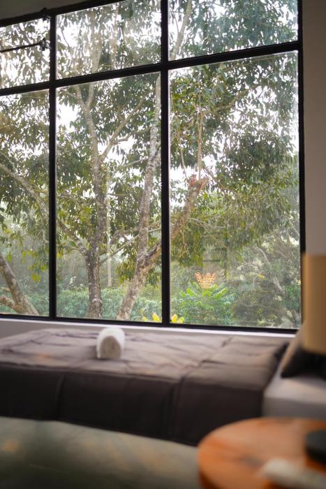 soultosoul guesthouse mayapur