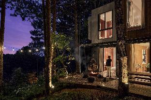 les reveurs dalat
