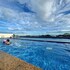 bearbrick homestay near beach csj tower apartment vung tau