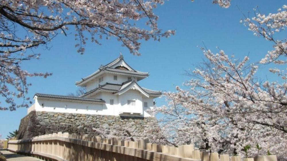 travel inn kofu